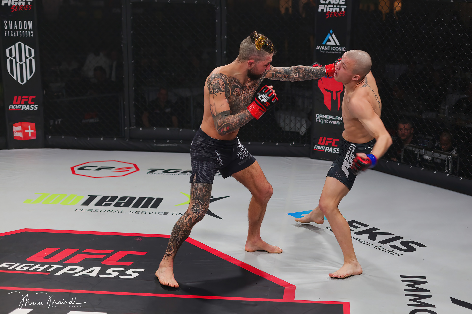Cage Fight Series 13 Cage Fight Series